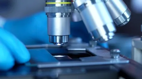 黑椒盖饭 - 气候科学家专访